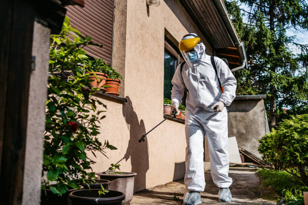 Best Pest Inspection Near Me  in Cypress, CA