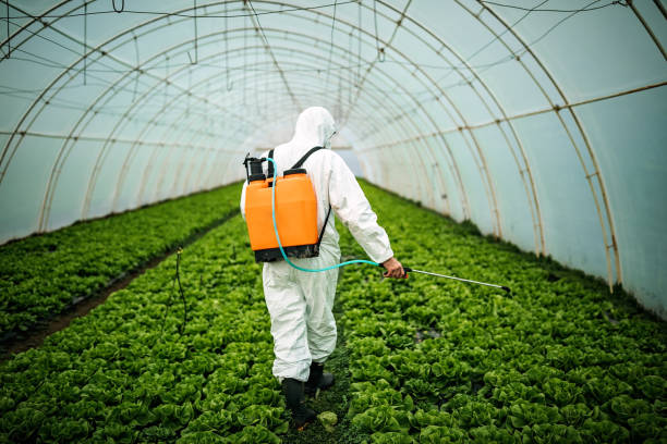 Best Pest Control Near Me  in Cypress, CA