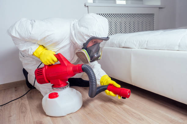 Best Residential Pest Control  in Cypress, CA