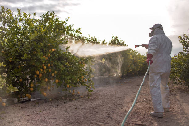 Best Commercial Pest Control Services  in Cypress, CA