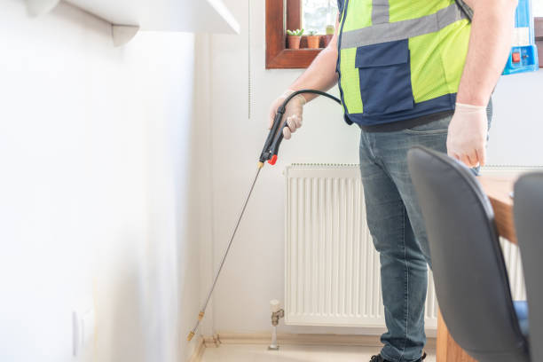 Best Rat Extermination Near Me  in Cypress, CA