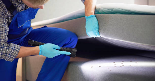 Best Mosquito Control Services  in Cypress, CA