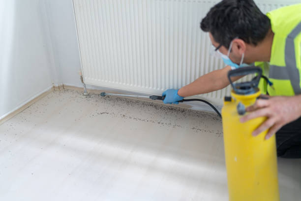Best Affordable Pest Control Services  in Cypress, CA